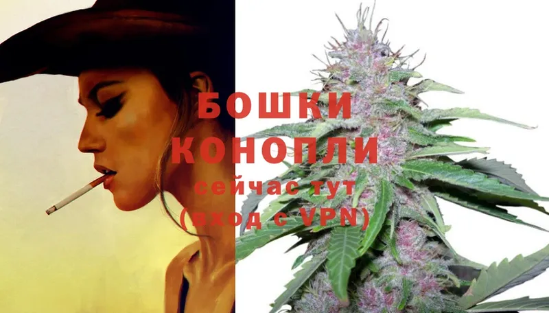 OMG tor  Благодарный  МАРИХУАНА White Widow 